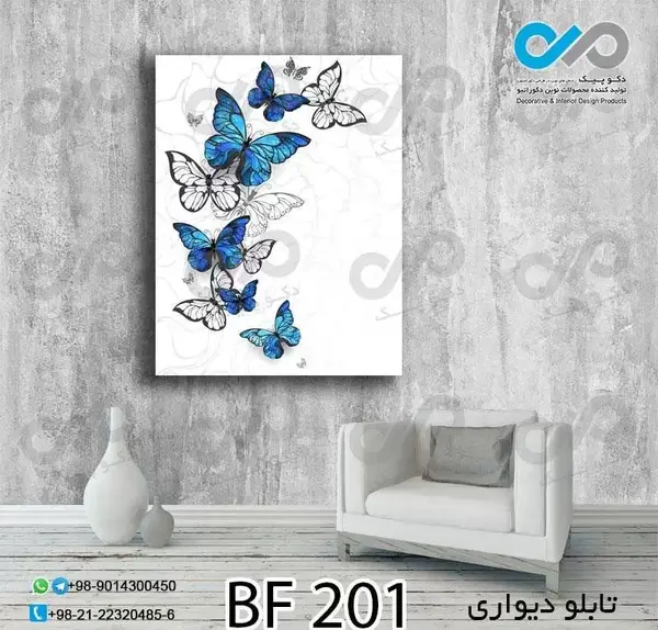 عکس پروانه های آبی