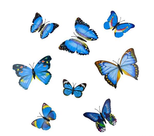 عکس پروانه های آبی