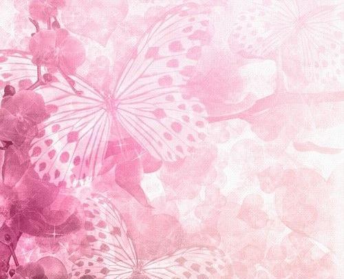 عکس پروانه صورتی برای پس زمینه