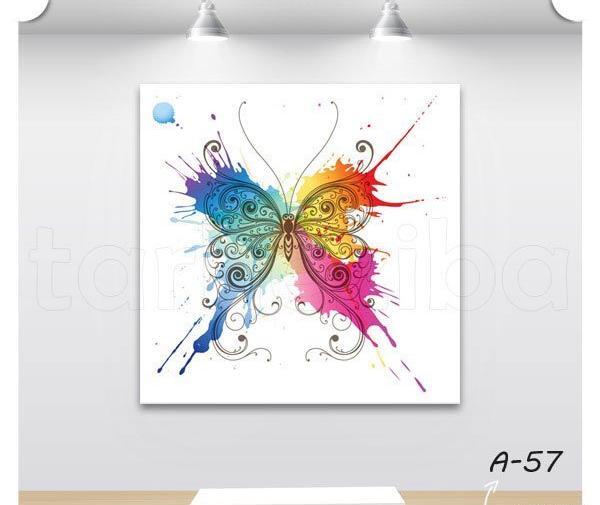 عکس پروانه نقاشی فانتزی