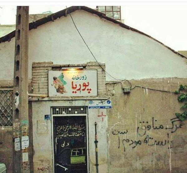 عکس پوریا ولی و یارانش