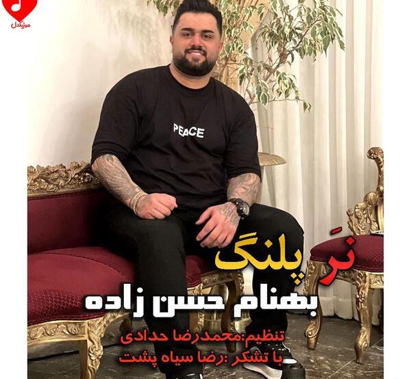 عکس خواننده بهنام رضایی