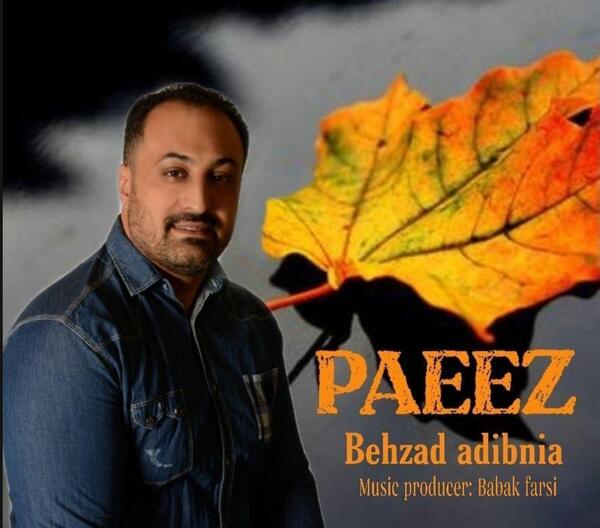 عکس بهزاد ستوده نیا