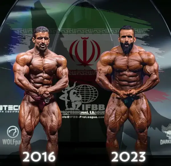 عکس مهناز افشار با هادی چوپان