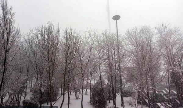 عکس از باران و برف