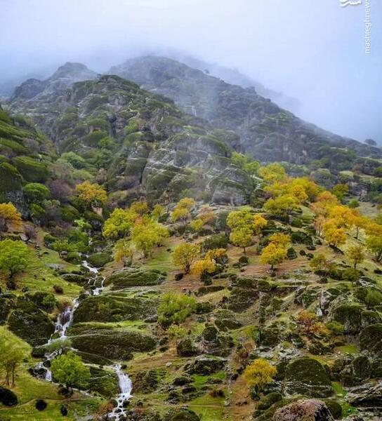 عکس از یک روز بارانی