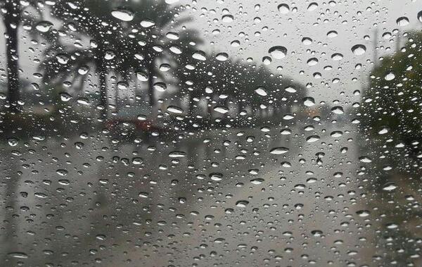 عکس از یک روز بارانی