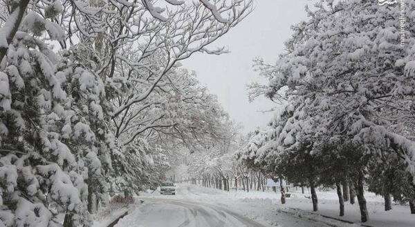 عکس باران برف
