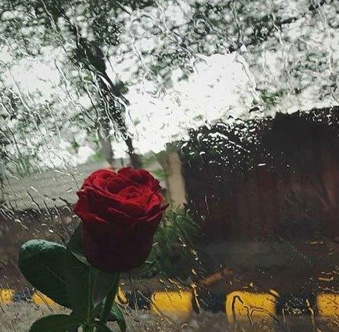 عکس های نم نم باران
