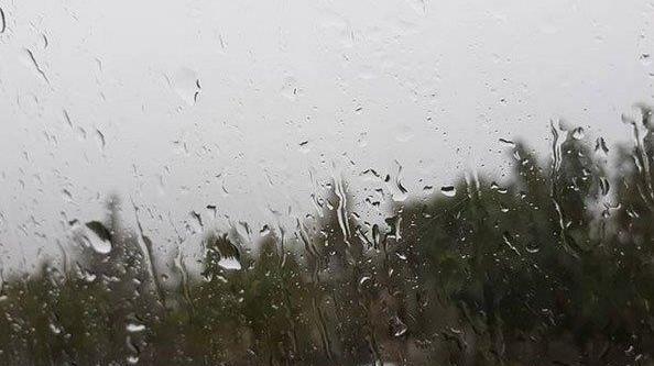 عکس های نم نم باران
