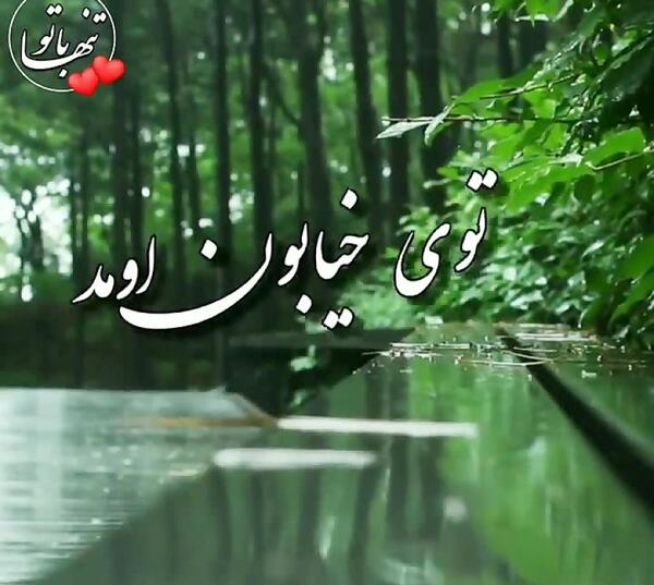 عکس های نم نم باران