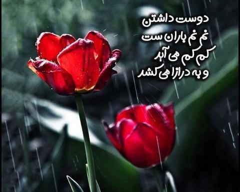 عکس های نم نم باران