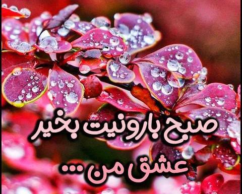 عکس صبح بخیر روز بارانی