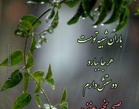 عکس صبح بخیر روز بارانی