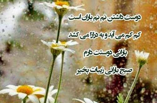 عکس صبح بخیر روز بارانی