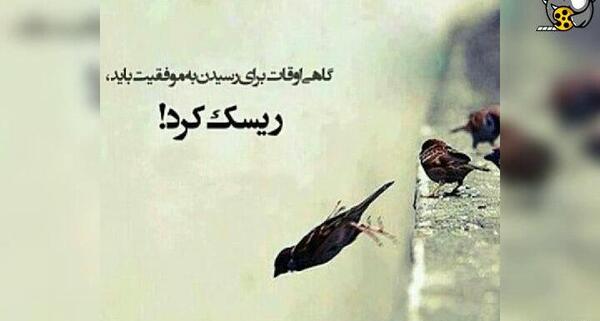 عکس خواننده باران لعنت