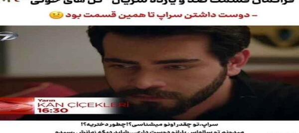 عکس باران در گل های خونی