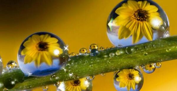 عکس قطره باران برای پروفایل