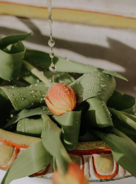 عکس قطره باران روی برگ