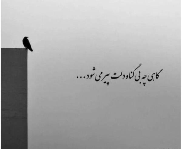 عکس پروفایل بارانی غمگین