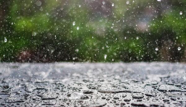 عکس های بارانی طبیعت
