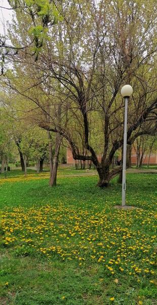 عکس های بارانی طبیعت