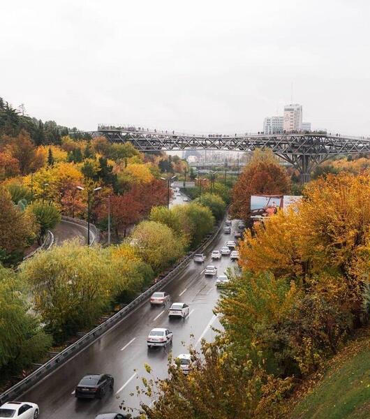 عکس از طبیعت بارانی