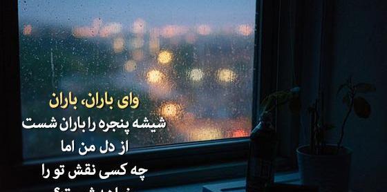 عکس طبیعت باران خورده