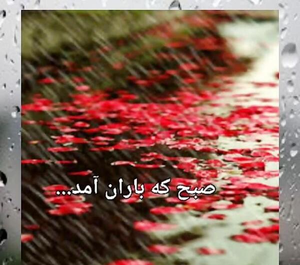 عکس سلام صبح بخیر بارانی