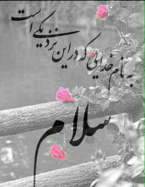 عکس سلام صبح بخیر بارانی