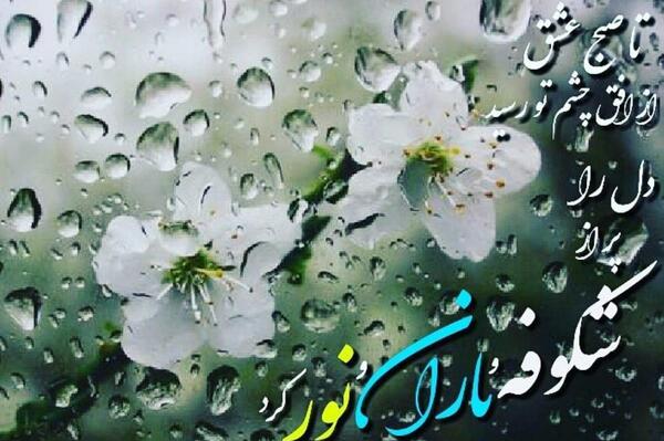 عکس سلام صبح بخیر بارانی