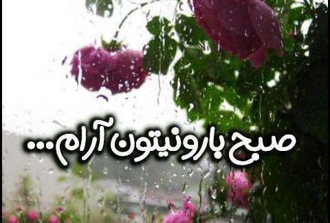 عکس سلام صبح بخیر روز بارانی