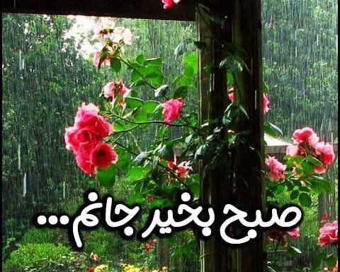 عکس صبح زیبای بارانی بخیر