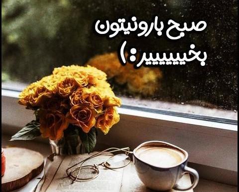 عکس صبح زیبای بارانی بخیر