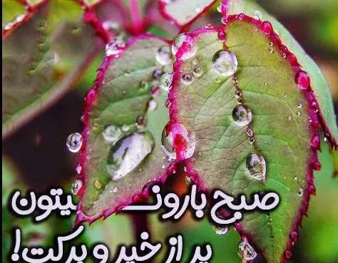 عکس صبح زیبای بارانی بخیر