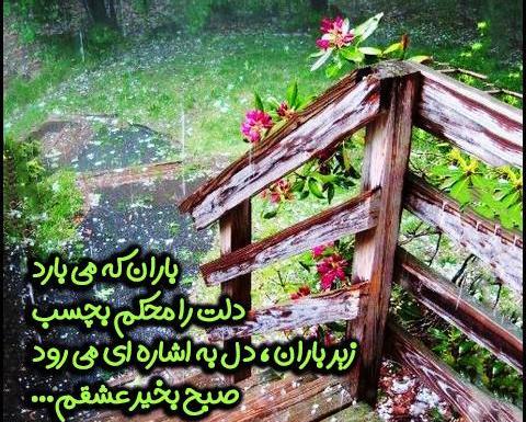 عکس صبح زیبای بارانی بخیر