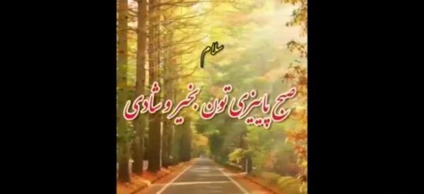 عکس صبح زیبای بارانی بخیر