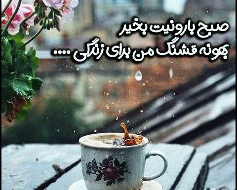عکس صبح زیبای بارانی بخیر