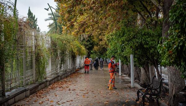 عکس باران در شیراز