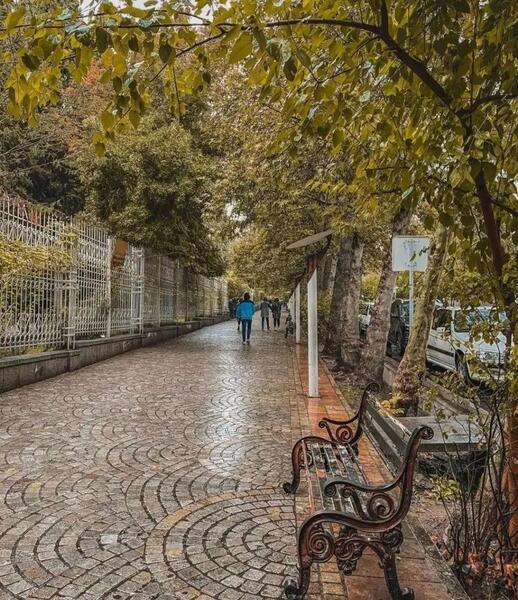 عکس باران در شیراز