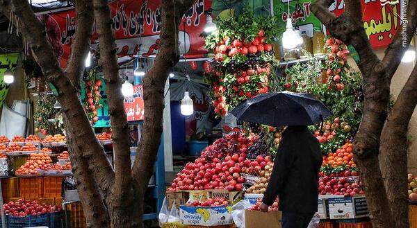 عکس باران در شیراز