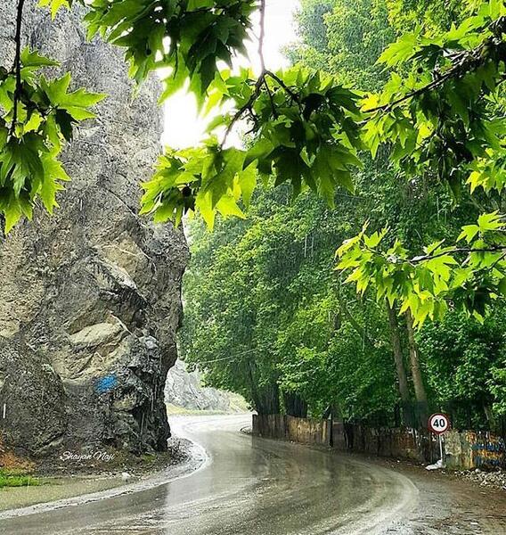عکس باران در شمال