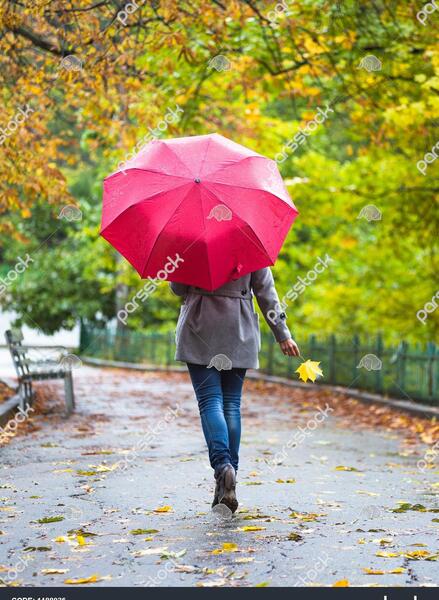 عکس زیبا باران پاییزی