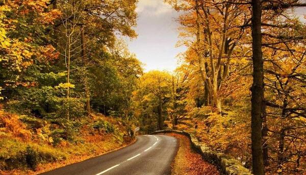 عکس زیبا باران پاییزی