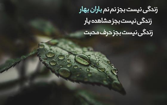 عکس زیبا باران بهاری
