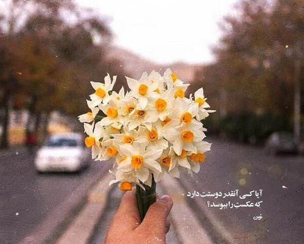 عکس باران بهاری برای پروفایل