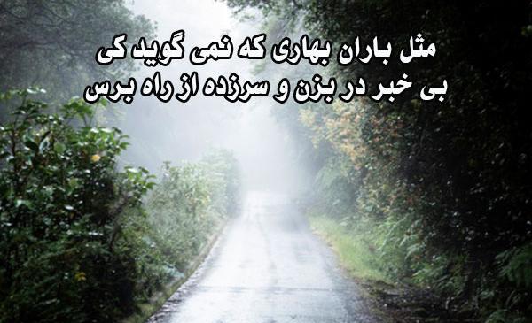 عکس باران بهاری زیبا