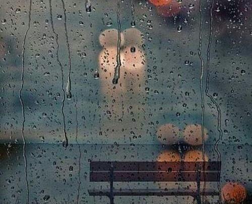 عکس زیبای باران بهاری