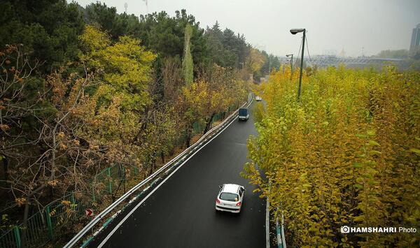 عکس باران در تهران