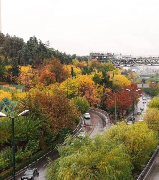 عکس باران در تهران